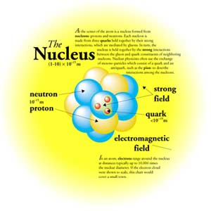 nucleus1